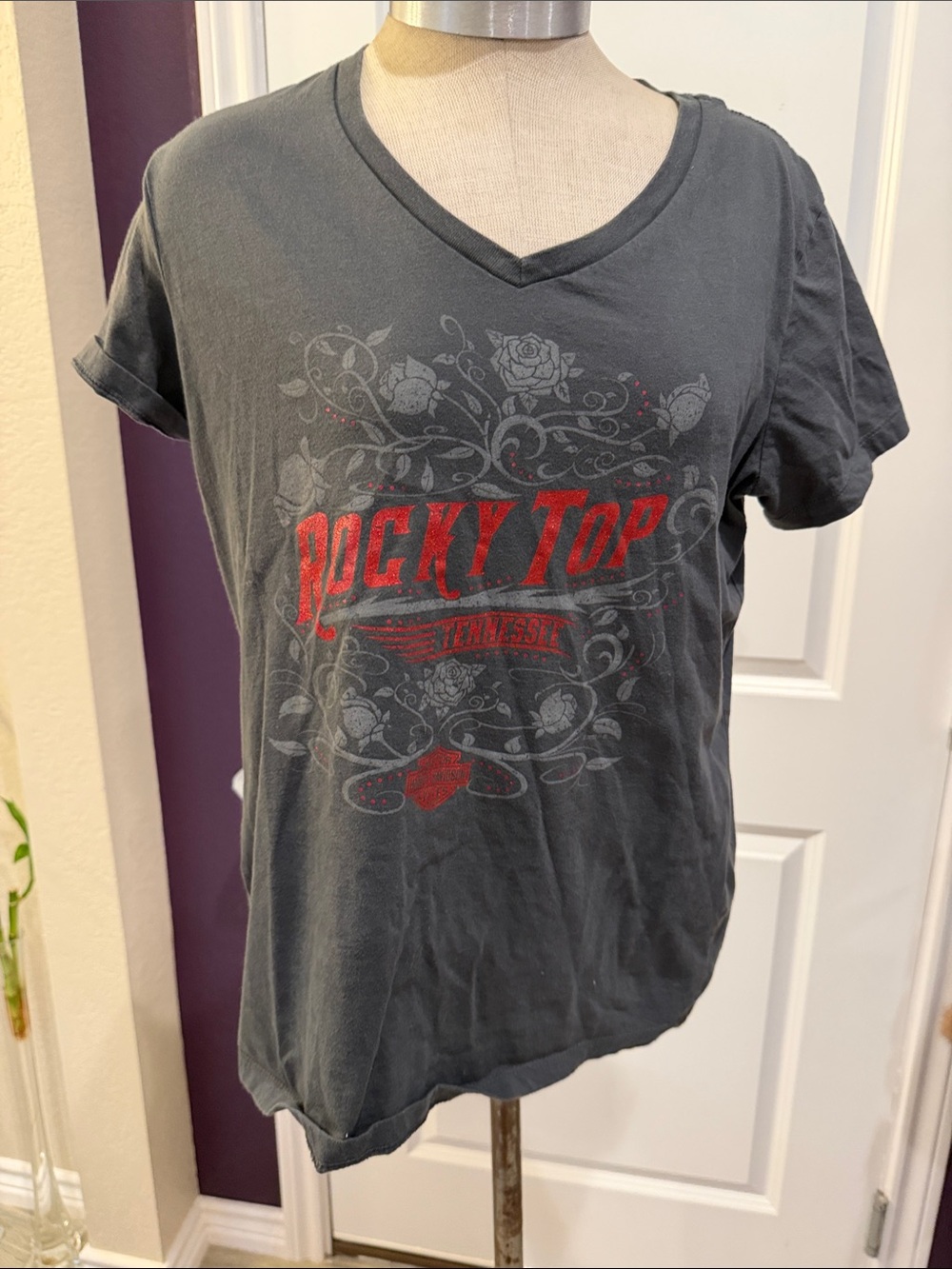 Rocky Top Tennessee Graphic Harley Davidson pigeon forge TN